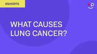 What Causes Lung Cancer? 