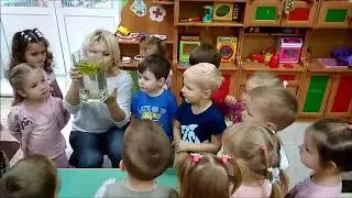 Рыбки в аквариуме