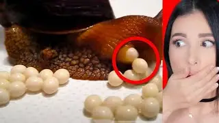 THINGS YOU'LL SEE FOR THE FIRST TIME IN YOUR LIFE | Mariale