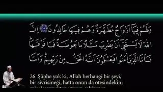 Kuranda Dişi Sivrisinek Mucizesi