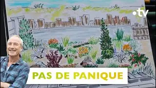 Pas de panique : des plantes sauvages pour un jardin de sable - Silence, ça pousse ! 10 juin 2023