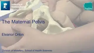 The Maternal Pelvis