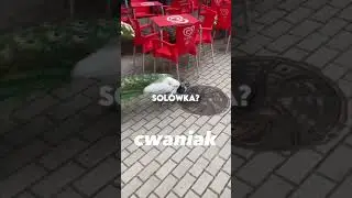 Zostałem vlogerką