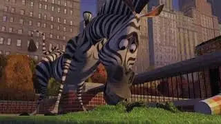 Первое появление пингвинов!   Мадагаскар 2005