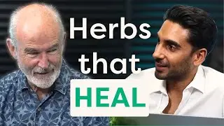 Turmeric, ginger and cinnamon: Everyday medicine in your kitchen | Simon Mills