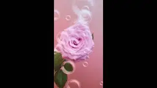 2 февраля 2020 г.