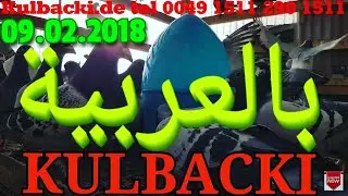 فيديو باللغة العربيةVIDEO IN ARABIC LANGUAGE KULBACKI RACING PIGEONS GERMANY TEL +49 1511 290 1511