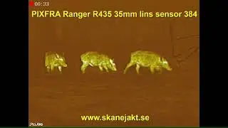 Pixfra Ranger R435