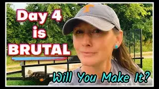 💥 Making it Past Day 4~Food Storage Challenge!
