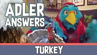 Adler Answers - Turkey