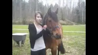 Taavi