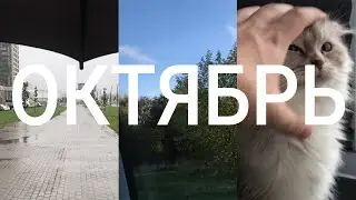 1 секунда каждый день 2020 | Октябрь