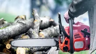 How does the cheapest Chinese chainsaw cut?