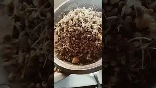 sprouts mix sabji 