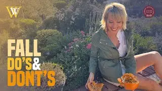 What should I Do in My Fall Garden?
