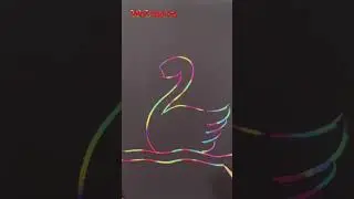 Creative Duck