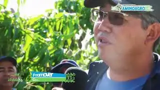 II ROTA TECNOLÓGICA - AMINOAGRO