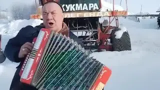 Мужик отжигает на гармошке в мороз