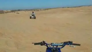 Banshee- Kermit Sandhills, Texas  Jan 13 2013