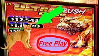 ultra rush gold tiger freeplay wins  #casualslotz #slots #casino #slotwins #hollywoodtoledo