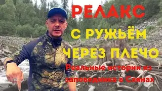 A JOURNEY THROUGH THE SAYAN MOUNTAIN RESERVE. Forest life in Eastern Siberia. Wild animals and wi...