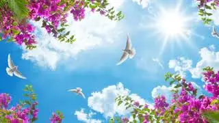 Улыбайтесь, друзья! Ст. О.Небесной, муз. В. Кобца, исп. М.Новохацкой