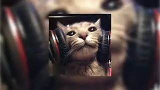 🎧 музыка для флешмоба 😺