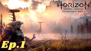 Долгожданное начало - Horizon Forbidden West - ep.1