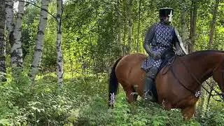 Knight1200 summer forest 2023