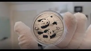 2022 China 30g Silver Panda Coin