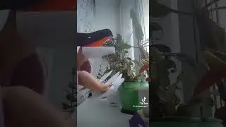 как тебя обозвать?