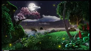 Ambience sounds, night, sleep sounds, ambient sound, relaxing sounds.