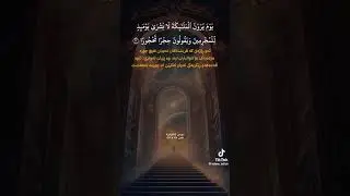 سكينة وراحة لا توصف ، ارح قلبك ❤️🎧☝️
