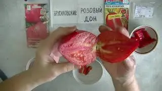 Дегустация 2024   № 21. Праздник гурмана!