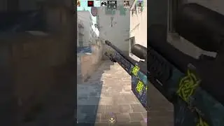 nubs ssg 