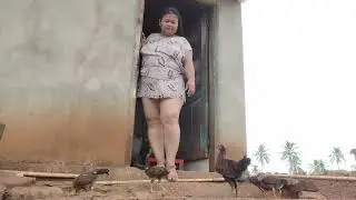 KASI MAKAN AYAM 🥰🥰🥰🤗🤗