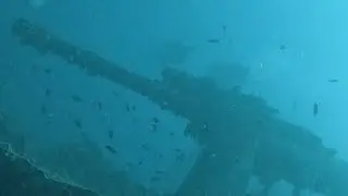 SS TISSELGORM