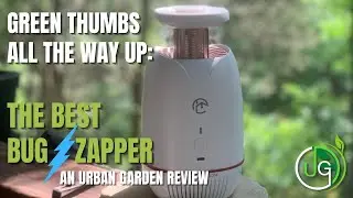 Green Thumbs UP: The Best Indoor Bug Zapper