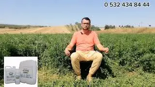 Yoncada (Wormy) Sıvı Solucan gübresi nasıl uygulanır.
