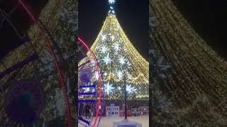 Главная елка города. 