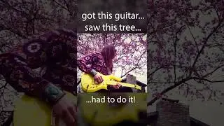 ☔️Purple Rain☔️ #guitar #rockinroll #blues #Prince #shorts