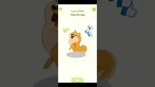 Delete Puzzle Level 306: Help the dog