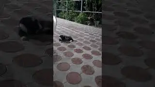 вечерняя болталка