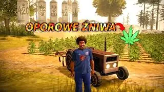 🧑‍🌾MIX NA OPOROWE ŻNIWA (mef3dr0n w kiszonce)🧑‍🌾