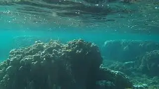 start swimming
