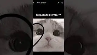лубимка, но у меня нет ее акка😭😀 в юпуп 