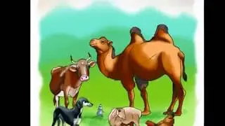 Жыл басына таласқан хайуандар