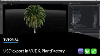 USD export in VUE & PlantFactory