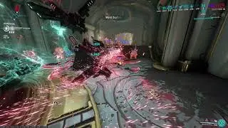Where did Mr. Acolyte go?