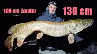 😱UNGLAUBLICH😱 | METERZANDER | 2 mal 130cm HECHT | 4 mal 120+cm HECHTE